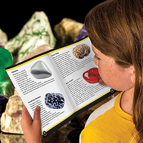 National Geographic - Kit de Descubrimiento de Rocas y minerales, 15 Rocas y minerales para coleccionar y observar, Caja de Almacenamiento incluida, Juego científico y Educativo, Stem