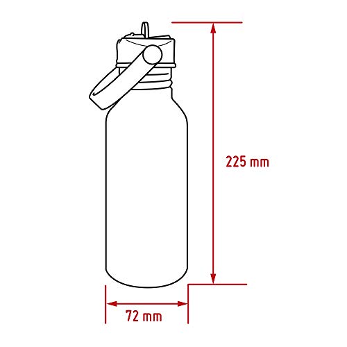 NERTHUS Ballenas FIH 805-Botellín Infantil a Prueba de Fugas, Botella de Agua para niños con Dibujos de Dinosaurios Color Azul, 500 ml, Aluminio