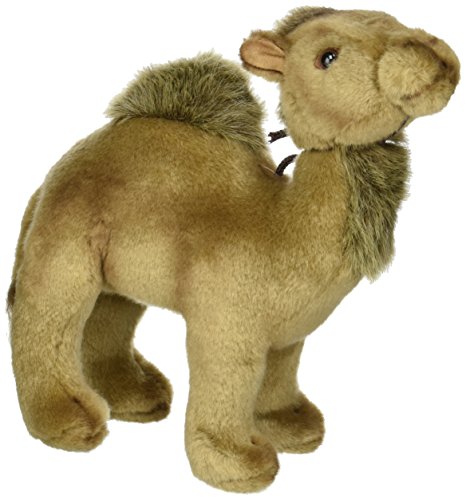 Peluche Dromadaire bebé 21 cm H