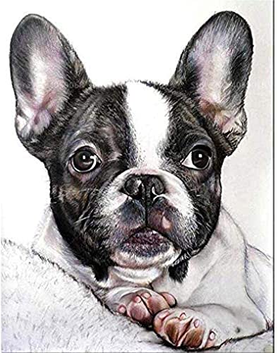 Pintar por Numeros kit Adultos Niños Bulldog francés blanco negro para DIY Pintura por números con Pinceles y Pinturas Decoraciones para el Hogar regalo de cumpleaños 40 X 50 cm sin Marco