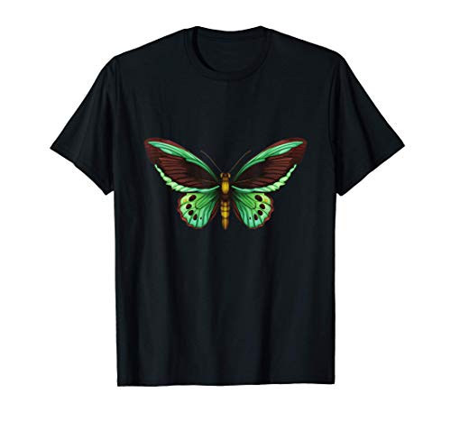 Polilla Luna Biología botánica Abeja mariposa Entomología Camiseta