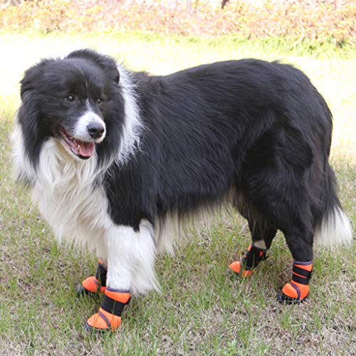 PROTAURI Botas de Perro Zapatos de Perro Botas para Perros Zapatos para Mascotas Calentar Deporte al Aire Libre Invierno Antideslizante para Perro Pequeña Mediano Grande