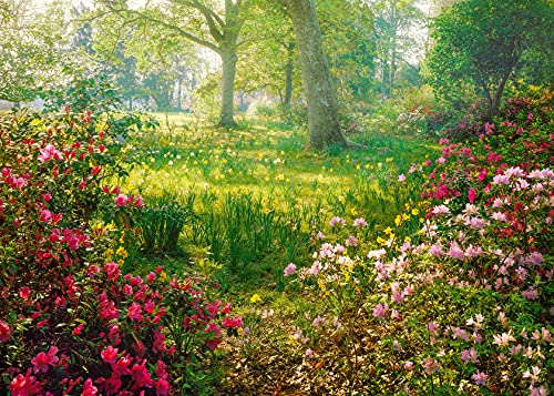 Ravensburger Puzzle 1000 Piezas, Naturaleza en Flor, Colección Fotos y Paisajes, Puzzle para Adultos, Rompecabezas Ravensburger [Exclusivo en Amazon]