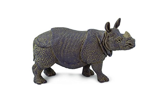 Rhino Indio