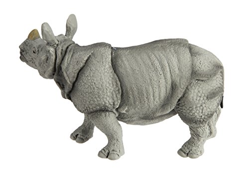 Rhino Indio