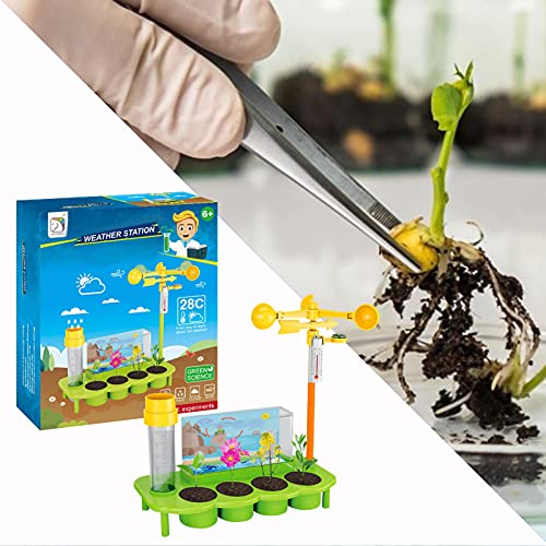 Runsmooth Kit Experimento Científico para Niños Invernadero Kit Botánica para Niños Juguete Estación Meteorológica Juguete Cultivo Plantas Jardín Kit Invernadero Experimental