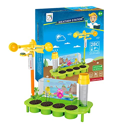 Runsmooth Kit Experimento Científico para Niños Invernadero Kit Botánica para Niños Juguete Estación Meteorológica Juguete Cultivo Plantas Jardín Kit Invernadero Experimental