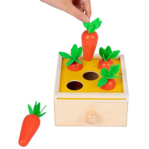 Sharplace Material Montessori, Caja de permanencia de Objetos, Bandeja de Juguete de Madera y Bola, Juego de clasificación de Zanahorias, Caja de Monedas, Caja