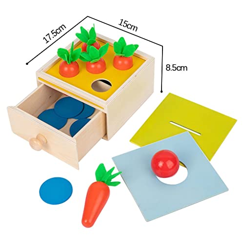 Sharplace Material Montessori, Caja de permanencia de Objetos, Bandeja de Juguete de Madera y Bola, Juego de clasificación de Zanahorias, Caja de Monedas, Caja