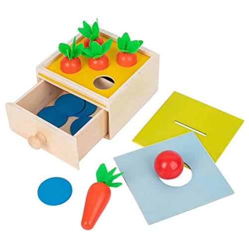 Sharplace Material Montessori, Caja de permanencia de Objetos, Bandeja de Juguete de Madera y Bola, Juego de clasificación de Zanahorias, Caja de Monedas, Caja