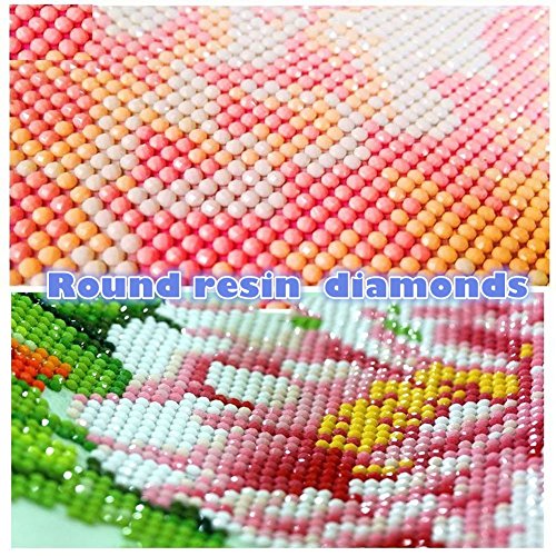 ShuoBeiter 5D Diamante Pintar por número Kits Nuevo DIY para Adultos Punto de Cruz Completo Conjunto de Herramientas Bordado Letras Arte Imagen Suministros Casa Pared Decoración (Flower)