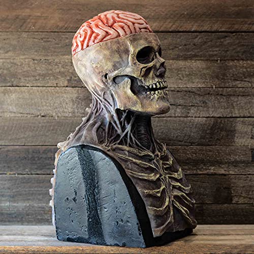 The Latest Skeleton Biochemical Mask for 2021, Halloween Masks for Adults Scary and Creepy Full Head Skull, Halloween Full Head Skull Mask with Moving Jaw, 3D Skeleton Helmet Scary Skull