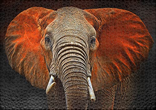 Ulmer Puzzleschmiede - Puzzle "Elefante de Tsavo": Puzzle de 1000 piezas - Retrato de elefante africano en el Parque Nacional de Tsavo en Kenia