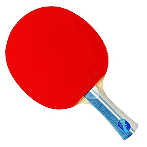 WANGYA Raqueta Tenis de Mesa Experto Mesa Tenis Raqueta Mesa Tenis Ping Ping Pong Raquete Roquete De Ping Pong Pong Raquetas Tenis de Mesa Profesional (Color : 2008 Long Handle)