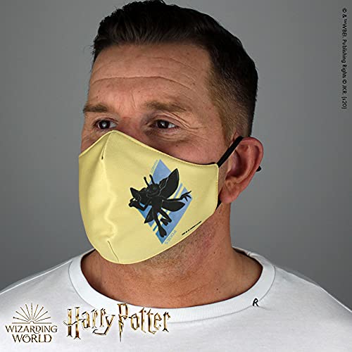 Warner Bros. Harry Potter Superheroes Mouthguard Masks Fabric Mask Adjustable Elastic Band Adult & Teen Comic Mask Nose Guard Mouth Noses (Cornish Pixies)