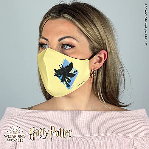 Warner Bros. Harry Potter Superheroes Mouthguard Masks Fabric Mask Adjustable Elastic Band Adult & Teen Comic Mask Nose Guard Mouth Noses (Cornish Pixies)