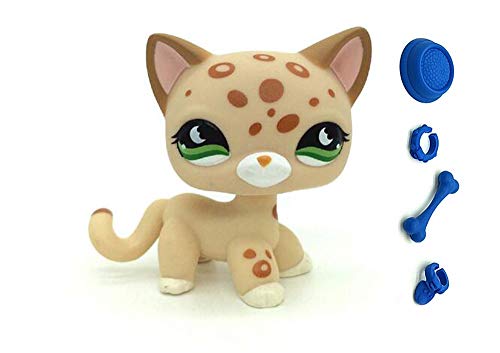 WooMax Tienda de Mascotas Littlest LPSs Toy Cat Leopard Cheetah Tan con Manchas Naranjas Ojos Verdes con 4 Piezas de Repuesto Cumplea