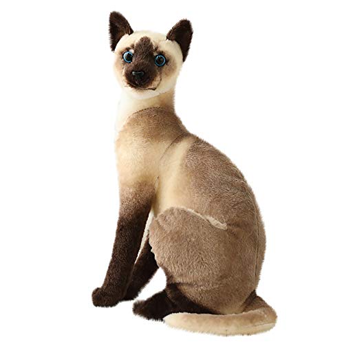 WOYAOFEI Plush Toys - Peluche de gato siamés con forma de animal, juguete para niños, regalo de cumpleaños, peluche, juguete de peluche realista, modelo para niños, 25 cm