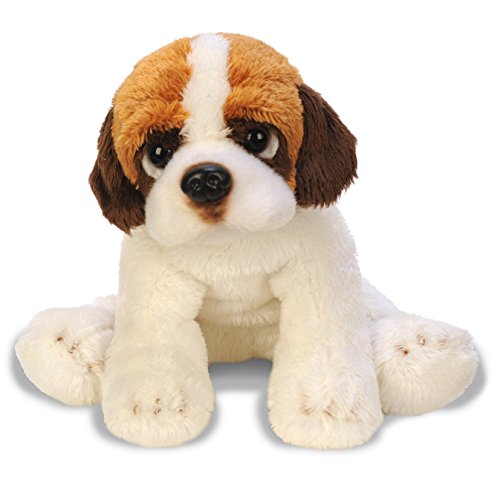 Yomiko St Bernard (pequeño)