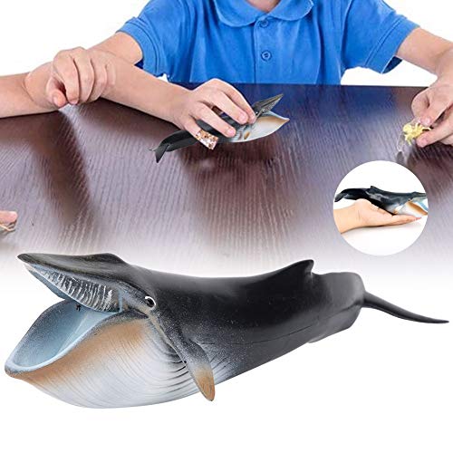 Zerodis Modelo de Ballena de Juguete Figura de Animal Marino en Alta simulación Adornos de Escritorio Decoración del hogar Cumpleaños Navidad Regalo Educativo para niños(23 x 6cm)