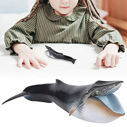 Zerodis Modelo de Ballena de Juguete Figura de Animal Marino en Alta simulación Adornos de Escritorio Decoración del hogar Cumpleaños Navidad Regalo Educativo para niños(23 x 6cm)