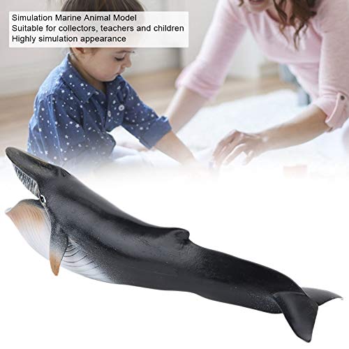 Zerodis Modelo de Ballena de Juguete Figura de Animal Marino en Alta simulación Adornos de Escritorio Decoración del hogar Cumpleaños Navidad Regalo Educativo para niños(23 x 6cm)