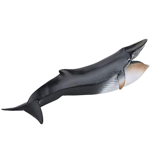 Zerodis Modelo de Ballena de Juguete Figura de Animal Marino en Alta simulación Adornos de Escritorio Decoración del hogar Cumpleaños Navidad Regalo Educativo para niños(23 x 6cm)