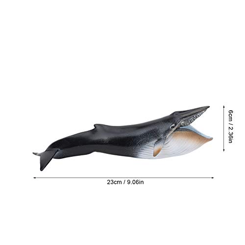 Zerodis Modelo de Ballena de Juguete Figura de Animal Marino en Alta simulación Adornos de Escritorio Decoración del hogar Cumpleaños Navidad Regalo Educativo para niños(23 x 6cm)