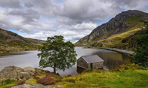 ZZHXSYH Cabaña De Árbol Grande En El Paisaje del Lago 120 Piezas Rompecabezas De Madera para Adultos Y Niños Decoración del Hogar Y La Oficina Brain Challenge Estimula La Creatividad Regalo