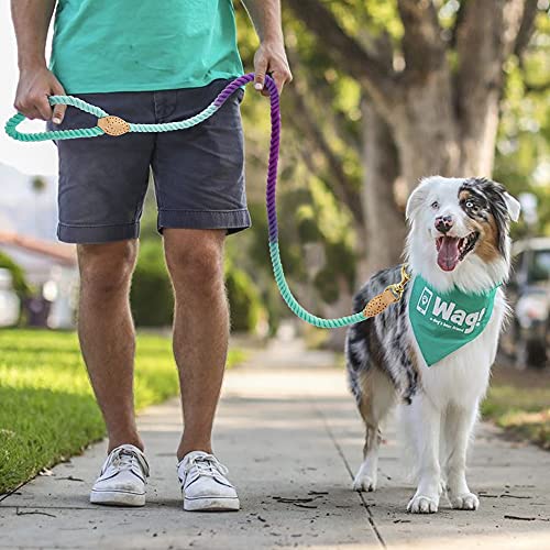 2 Uds, Correa Suave para Perros Y Mascotas, Cuerda De Nailon, Correas para Perros PequeñOs, Medianos Y Grandes, Correas Largas Y Resistentes para Cachorros, para Caminar, Senderismo