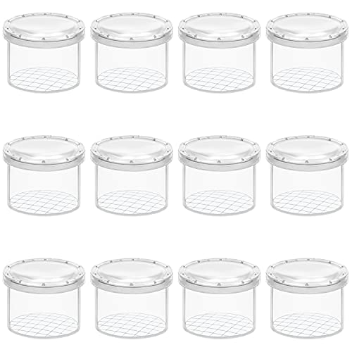 Belle Vous Bote para Insectos con Aumento (Pack de 12) Visor Insectos Transparente Caja Observación – Jaula Portátil para Insectos/Exploración Naturaleza y Atrapar Bichos – Para Niños y Adultos