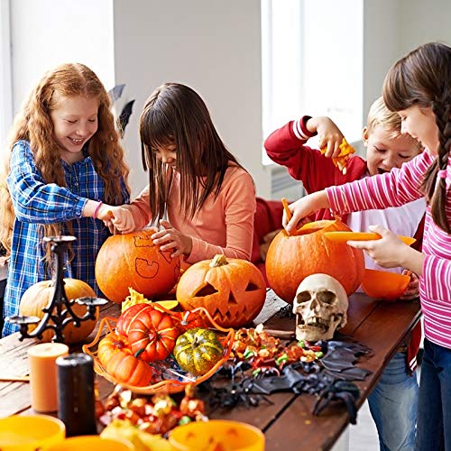 CHALA 4 canastas de Dulces Telaraña, Dulces de Truco o Trato de Halloween, tazón de bocadillos de Frutas de Chocolate con patrón de araña de Terror para decoración de Suministros de Fiesta Halloween