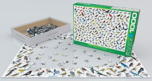 EuroGraphics "El Mundo de Las Aves por David Sibley Puzzle (1000 Piezas, Multi-Color)