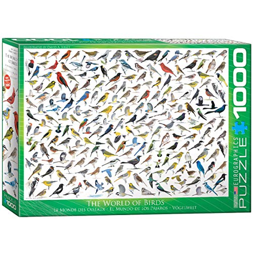 EuroGraphics "El Mundo de Las Aves por David Sibley Puzzle (1000 Piezas, Multi-Color)