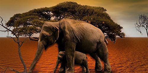 FAWFAW 1000 Piece Wooden Jigsaw Puzzles, Elefante Africano De Sabana`` Árbol Adultos Niños Puzzles Juegos De Juguete