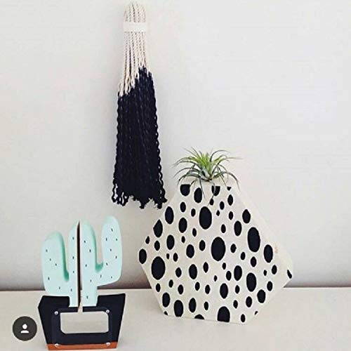 Hucha Madera Cactus Hucha Inicio niños Tienda de Ropa Decorativo fotografía apoya