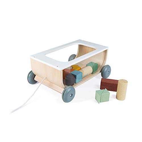 Janod - Carrito de Cubos de Madera - Colección Sweet Cocoon - Juguete de Estímulo para Bebés Pintado al Agua - Juguete de Arrastre - Aprender a Andar - A partir de 18 Meses, J04407