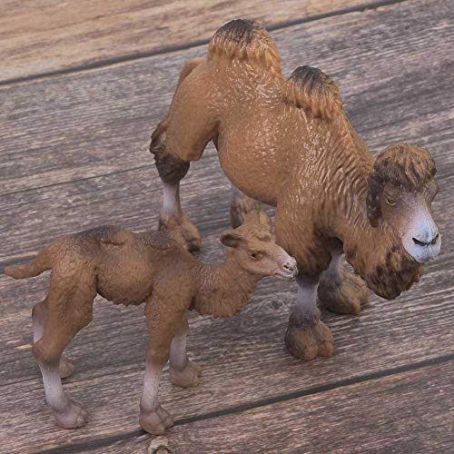 Juguete de modelo animal, 2 piezas de safari salvaje en miniatura Mundo silvestre Figuras de animales Decoración de escritorio Modelo de camello bactriano Regalos de decoración para el hogar para niño