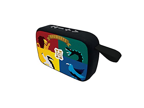 Lexibook Warner Harry Potter - Altavoz portátil Bluetooth, inalámbrico, Radio FM,, USB, tarjeta TF, batería recargable,negro/gris , BT018HP