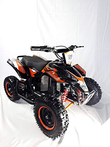 Mini quad ELECTRICO con motor brushless de 800W y bateria de 36V 12AH -EATV20 ECO-PANTERA. / Mini quad para niños de 5 a 12 años/miniquad infantil (NARANJA)