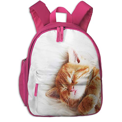 Mochila para Niños Sleepy Ginger Kitten, Mochila Escuela Primaria de Edad Peso Ligero Pérdida Mochila de Viaje para Chico Chica