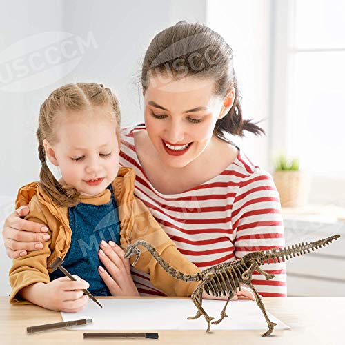 MUSCCCM Dinosaur Dig Kit Braquiosaurio, Dino Skeleton Fossil Excavation Kit Realistic Dinosaur Model Juguetes educativos Regalo para Niños Niñas Regalo de Año Nuevo