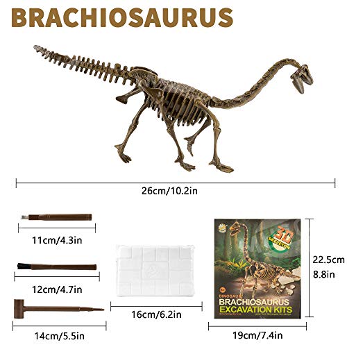 MUSCCCM Dinosaur Dig Kit Braquiosaurio, Dino Skeleton Fossil Excavation Kit Realistic Dinosaur Model Juguetes educativos Regalo para Niños Niñas Regalo de Año Nuevo