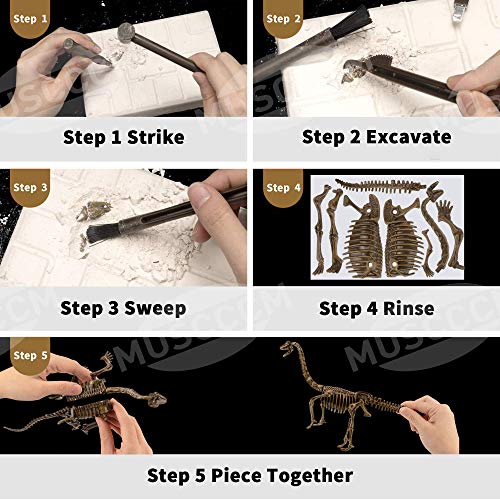 MUSCCCM Dinosaur Dig Kit Braquiosaurio, Dino Skeleton Fossil Excavation Kit Realistic Dinosaur Model Juguetes educativos Regalo para Niños Niñas Regalo de Año Nuevo