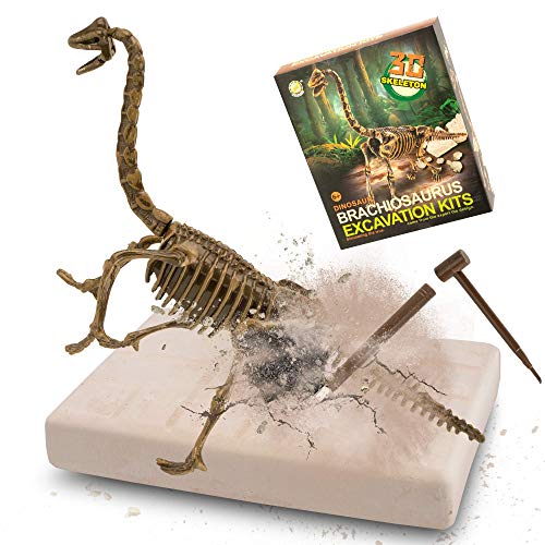 MUSCCCM Dinosaur Dig Kit Braquiosaurio, Dino Skeleton Fossil Excavation Kit Realistic Dinosaur Model Juguetes educativos Regalo para Niños Niñas Regalo de Año Nuevo