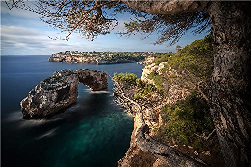 NA Impossible Puzzles 500 Piece Jigsaws Landscape View Spain Majorca Mallorca Coast Sea Trees Crag Puzzle Games For Teens Jigsaw Puzzles Adults Difficult Jigsaw