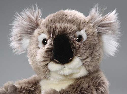 Peluche - Oso de Koala (Felpa, 22cm) [Juguete] 2883