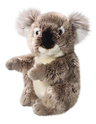 Peluche - Oso de Koala (Felpa, 22cm) [Juguete] 2883