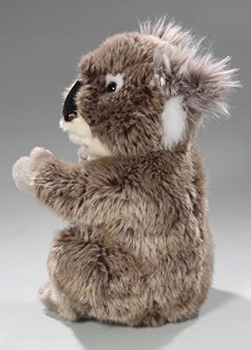 Peluche - Oso de Koala (Felpa, 22cm) [Juguete] 2883