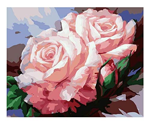 Pintura de bricolaje por números flores pintura al óleo pintada a mano pintura acrílica decoración del hogar regalo único divertido en casa A15 40x50cm